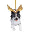 Collection d'ornement «Honor the Pooch»
