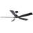 60'' Ceiling Fan With Light