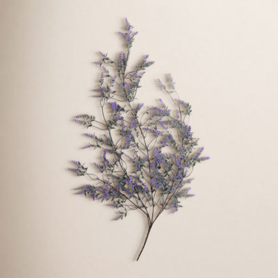 Valdes Lavender Arrangement