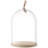 Ivalo Glass Cake Stand