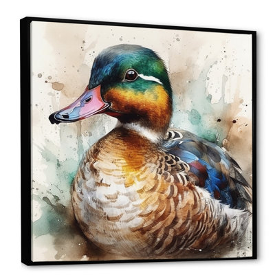 Magnificent_Male Duck II - Duck Canvas Print