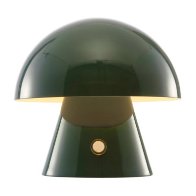 Xyanna Metal Desk Lamp