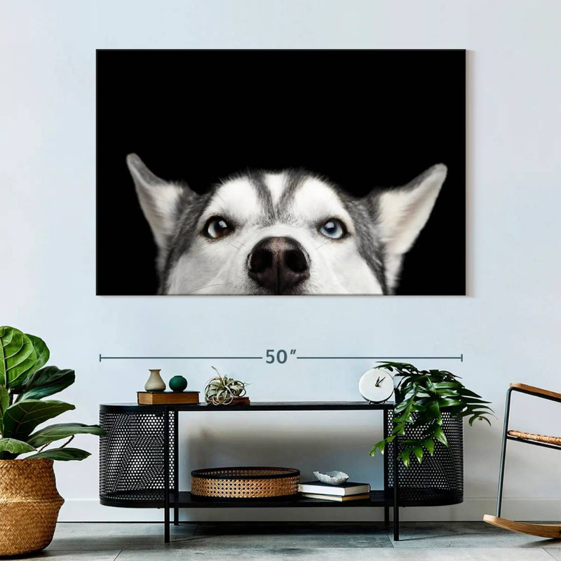 Peeking Siberian Husky, 34" H x 51" W