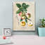 Art mural sur toile Epic Graffiti «Luscious Fruit Study D» par Jean Plout-110880957