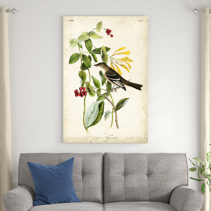 Audubon Bird & Botanical II, H 48 po x l 32 po x P 1,25 po