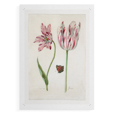 Two Tulips I -Canvas Print Only - NOT FRAMED