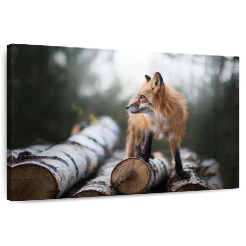 Handsome Fox, 34" H x 51" W