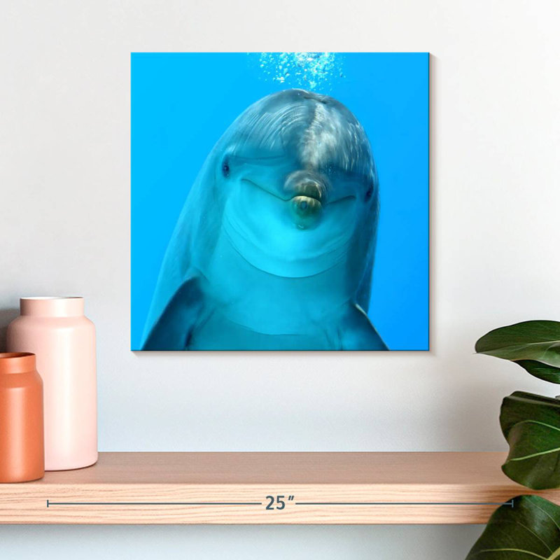 Brampt Dolphin Encounter, 16" H x 16" W