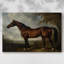 Animaux, série paysage CCDXCIV-685077007