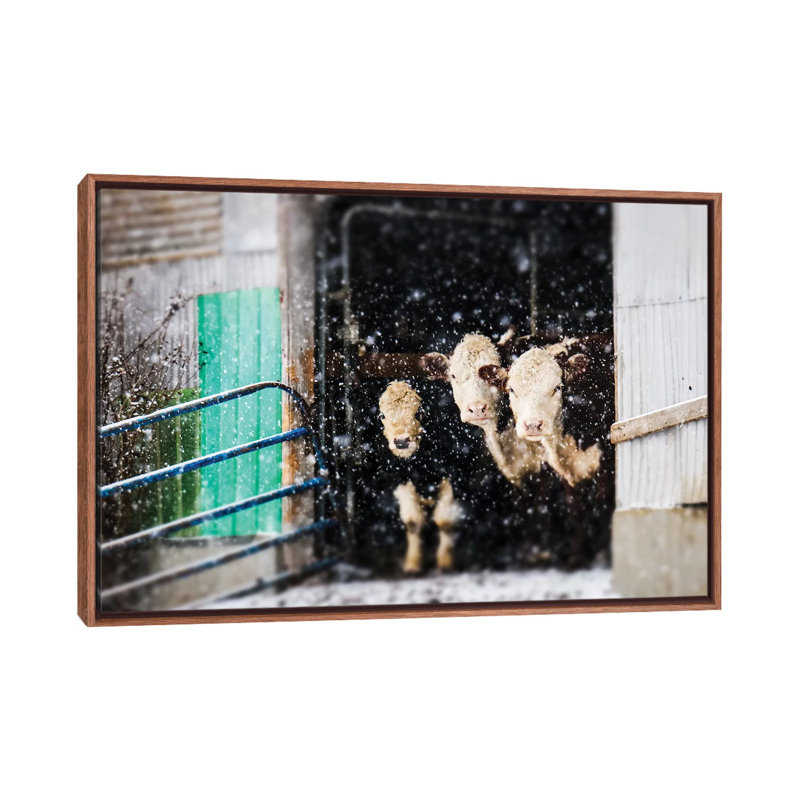 «Barnyard Winter», reproduction d'art encadrée, H 18 po x l 26 po x P 1,5 po, Cadre bois classique