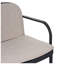 Ensemble de fauteuils d'extérieur en polypropylène l 28 po x P 27 po x H 20,5 po avec coussins hydrofuges Luna (ensemble de 2)