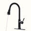 Robinet de cuisine HOOSENG