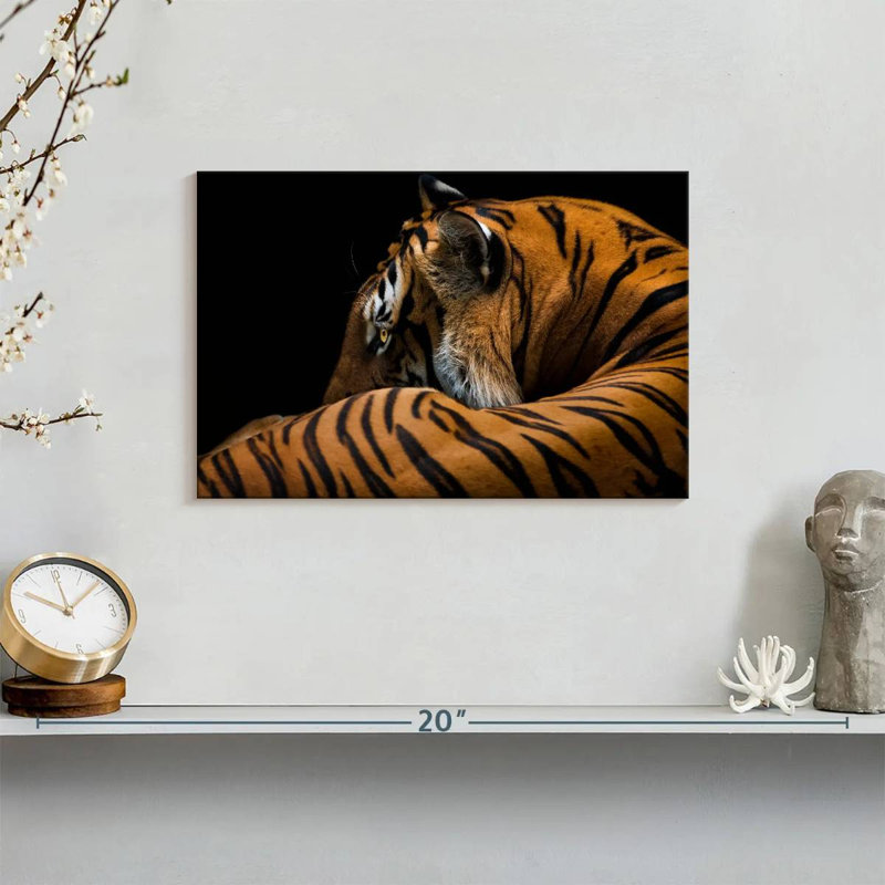 Brampt Majestic Tiger, 8" H x 12" W