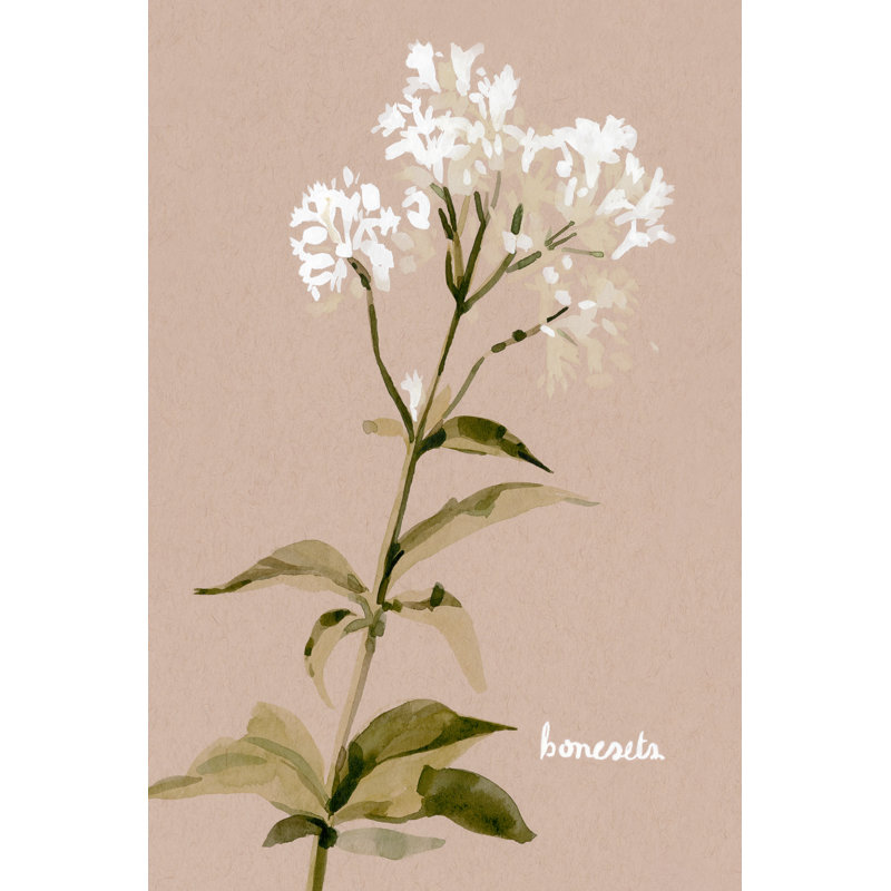 White Bonesets I - Painting, 122cm H x 81cm W, Black Floater Framed