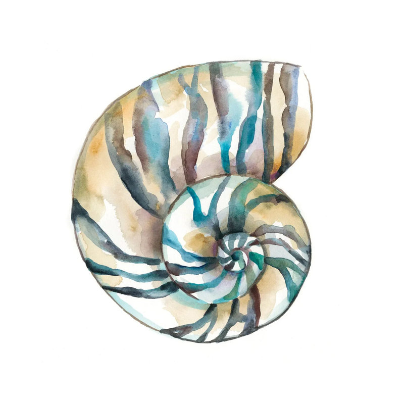 Aquarelle coquillages II, H 12 po x l 12 po x P 0,75 po