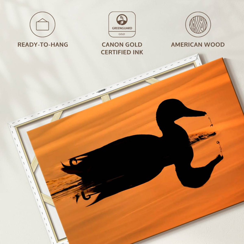 Silhouette de canard colvert Brampt, H 20 po x l 30 po