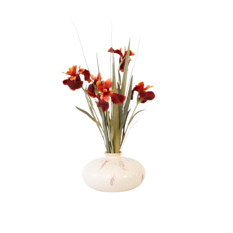 Iris rouille en pot beige rond