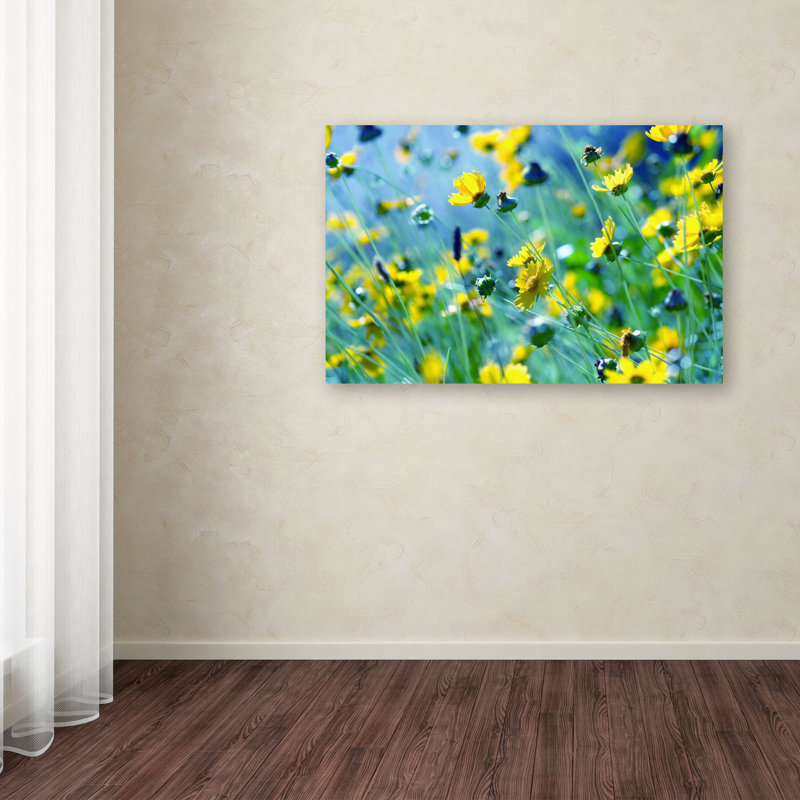 Gallucci «Flower Power», reproduction de photo sur toile tendue, H 30 po x l 47 po x P 2 po