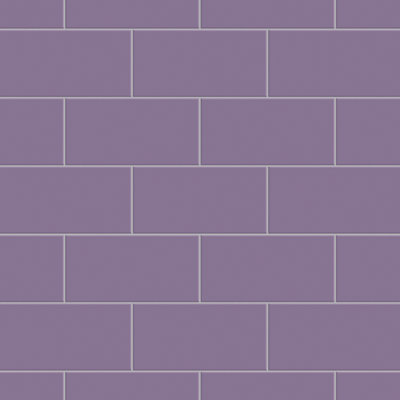Projectos 3.88" x 7.75" Ceramic Subway Tile