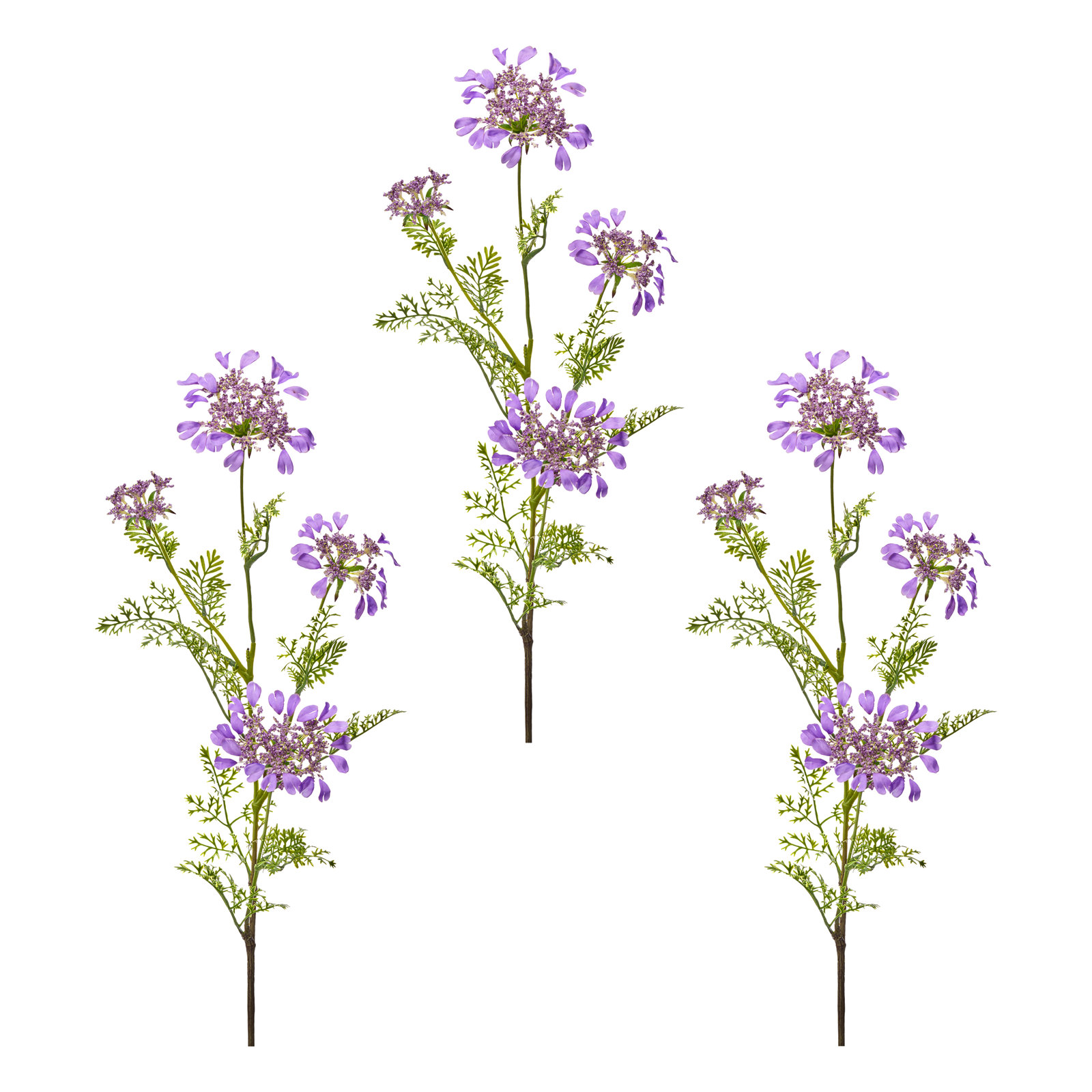 Field Yarrow Stems, Purple