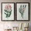 Protea N13 - Ensemble de 2 peintures sur toiles encadrées-2116893549-2116893551