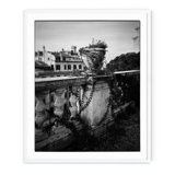 Italian Ivy - Picture Frame Photograph