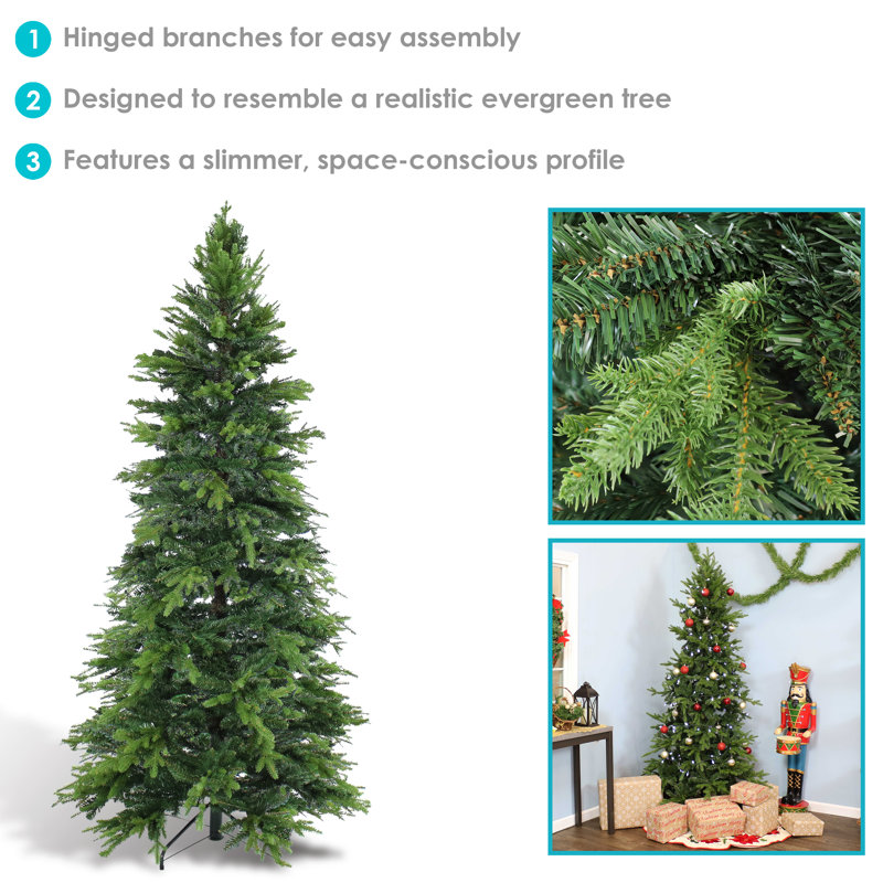 The Holiday Aisle® Pine Christmas Tree & Reviews | Wayfair