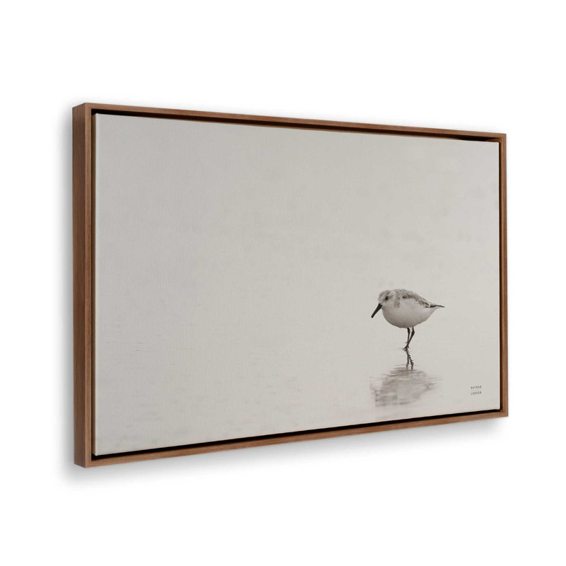 Impression sur toile Tybee Island Sanderling par Nathan Larson, Brun, H 32 po x l 48 po, Cadre flottant