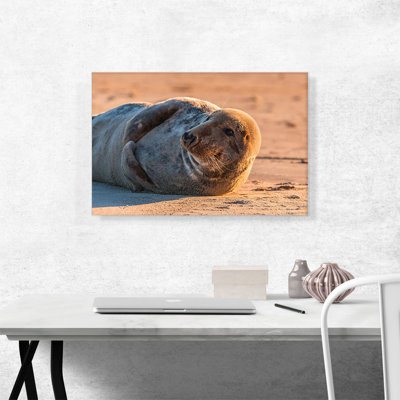 " Grey Seal Home Decor "