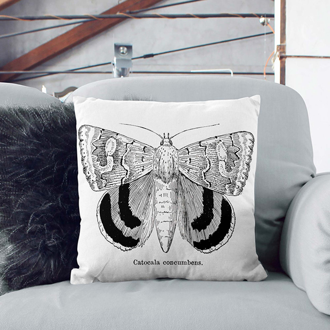 Sleepy Underwing Moth by S.F. Denton Cushion with Filling