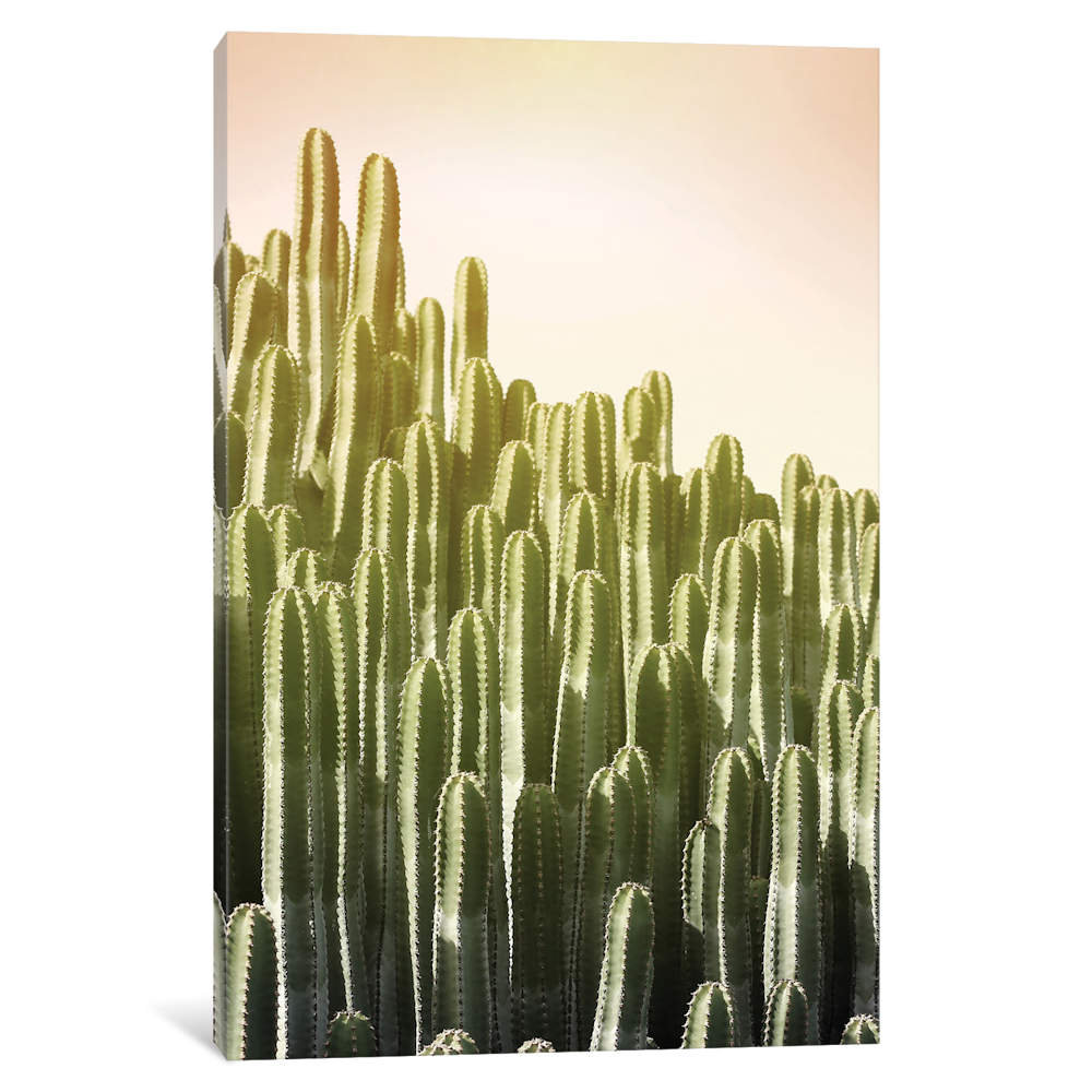 Pink Sky Cactus by Lexie Greer - Wrapped Canvas Print