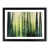 Black Framed selected