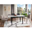 Charnika Metal Base Dining Table-87775266
