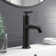 Gibson Single Hole Bathroom Faucet with Drain Assembly