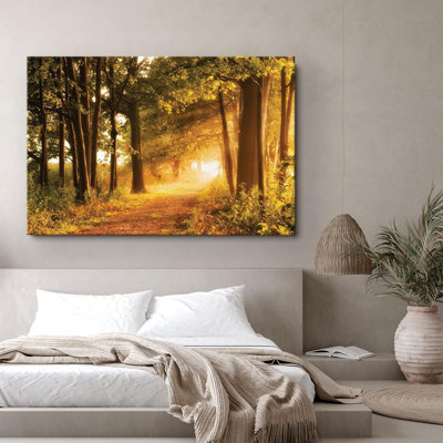 " Peaceful Walk Through Sunlight Mountain Autumn Forest "