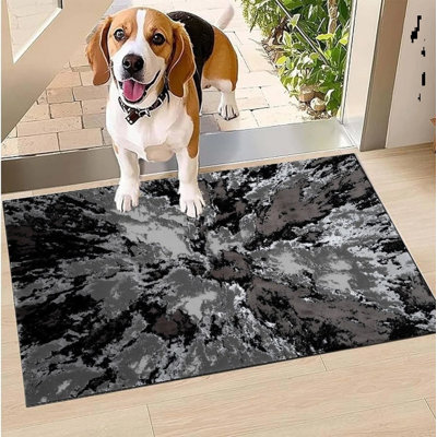 Area Rug