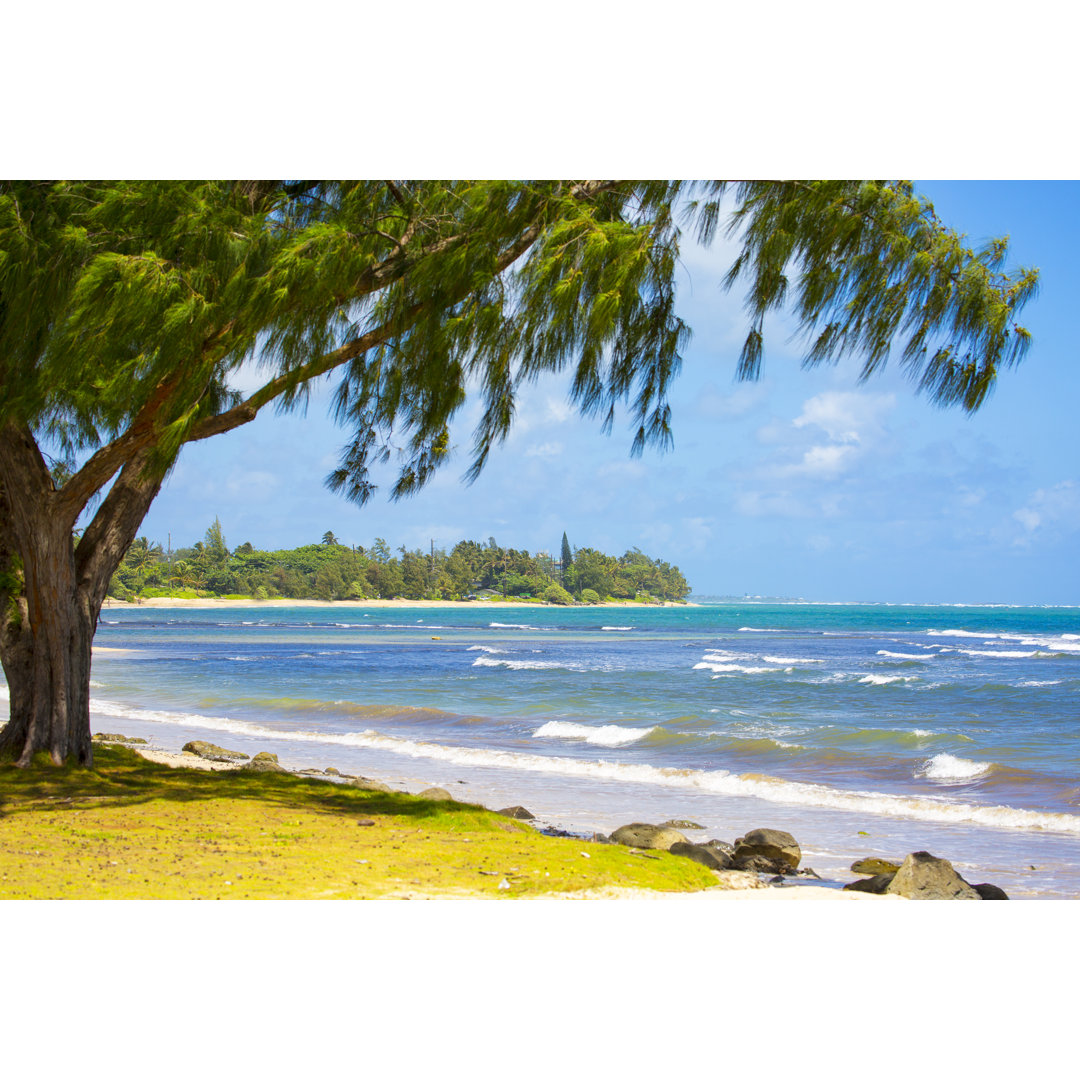 Baum mit Strand - Leinwandbild