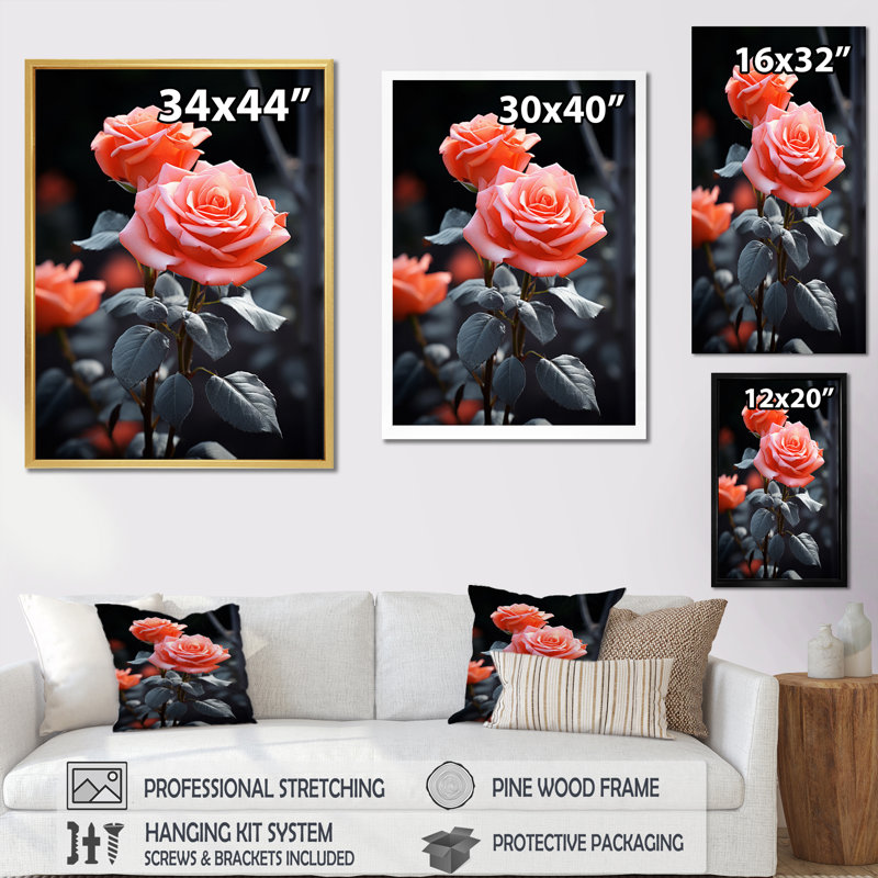 «Peach Roses Coral Serenade At Black», impressions sur toile florales, H 44 po x l 34 po x P 1,5 po, Encadrement doré