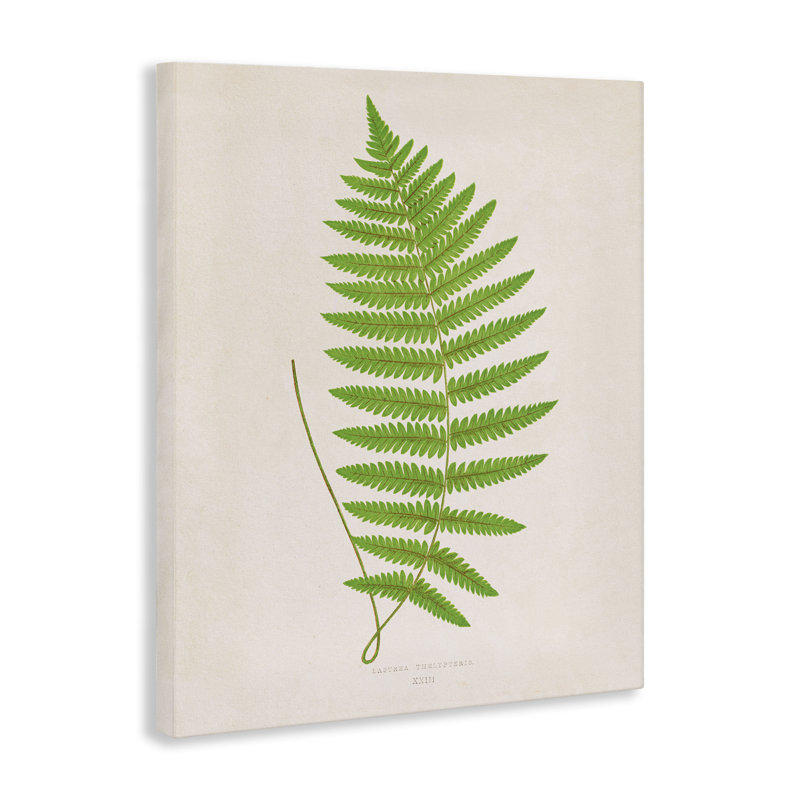 Toile de branche de fougère simple, conception par Phillipa Katz, H 48 po x l 36 po
