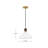 Simon Medium 1-Light Convertible Pendant Light