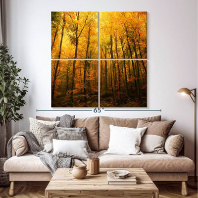 Forêt d'Alvord en automne