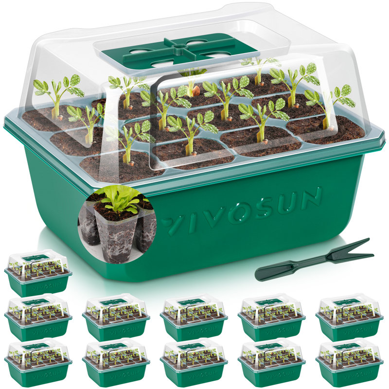 Paquet de 12 plateaux de démarrage à 144 cellules pour la plantation de graines