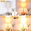 Lampe de table Nikky