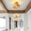 Peterborough Semi Flush Mount