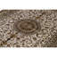 Oriental Area Rug