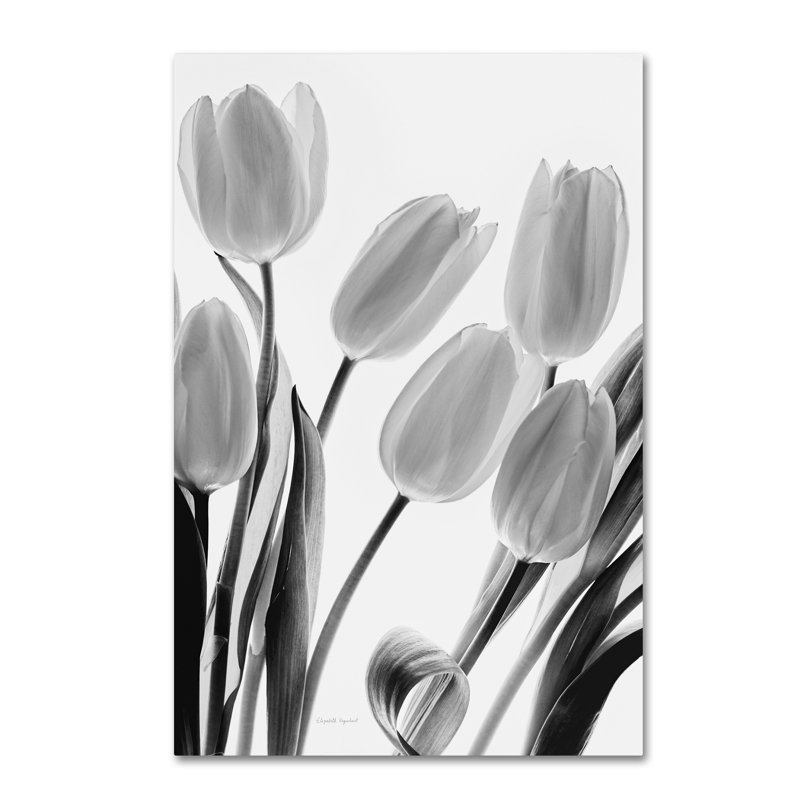 Davlin «Shadows and Light I», impression sur toile tendue, H 19 po x l 12 po