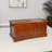 Rosson Blanket Chest-1196162985