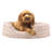 Ultra Plush Oval Donut Dog Bed-809269205-809269211