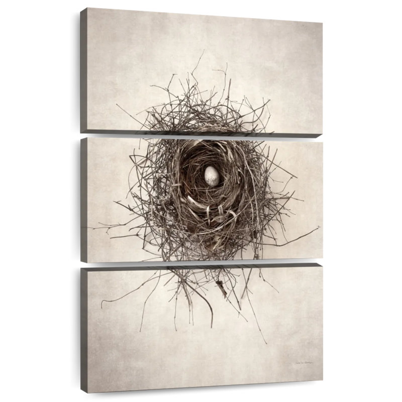 Brampt Nest, 32'' H x 20'' W