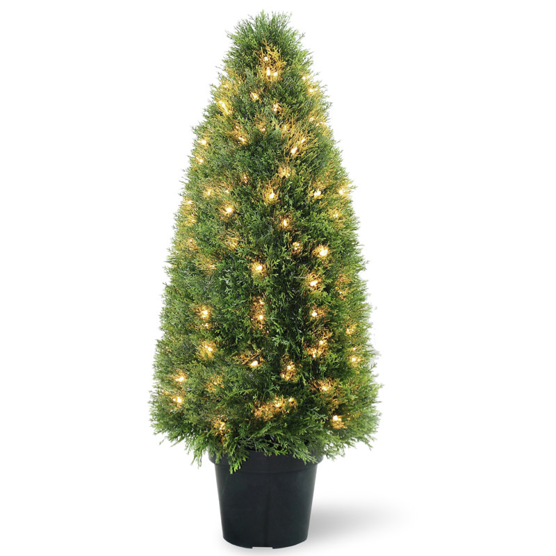 Primrue Pre-Lit Artificial Upright Juniper, 36" H x 17" W x 17" D